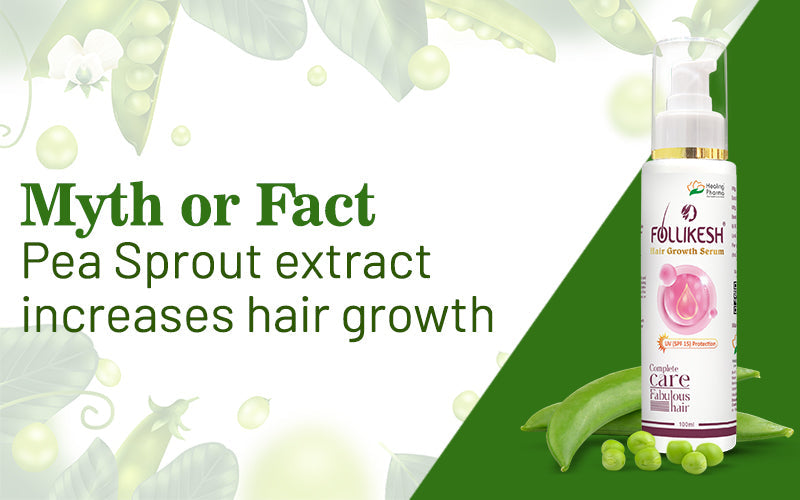 Pea Sprout Extract Increases Hair Growth